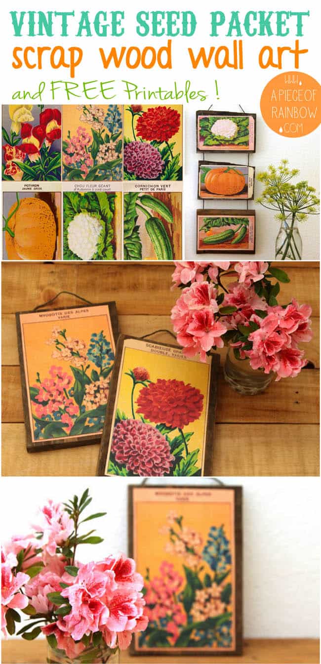 Make wall art from Free printable vintage French seed packets and scrap wood! 