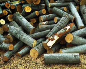 Преимущества и недостатки дров из осины, ольхи, липы, ивы и плодовых деревьев
