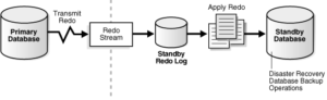 Typical Oracle Data Guard Configuration