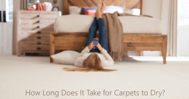 How long do carpets dry