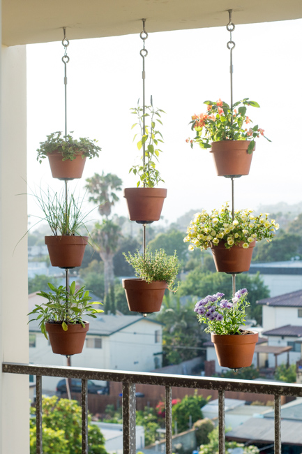 Hanging potted herb garden