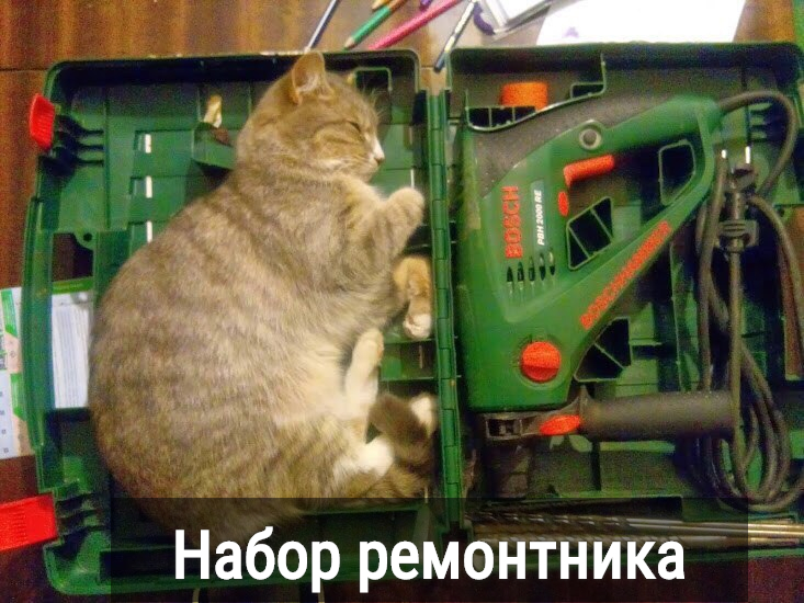 изображение: Набор ремонтника #Котоматрицы