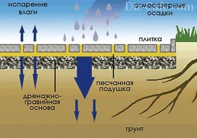 Поддержание естественной среды под плиткой почвы на участке Поддержание естественной среды под плиткой почвы на участке
