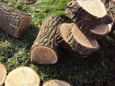 Элементы дорожек Элементы дорожек