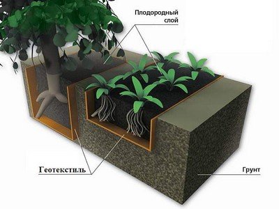 «Карманы» под растения