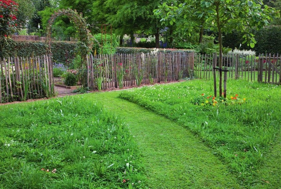 Садовый участок с дорожкой из травы