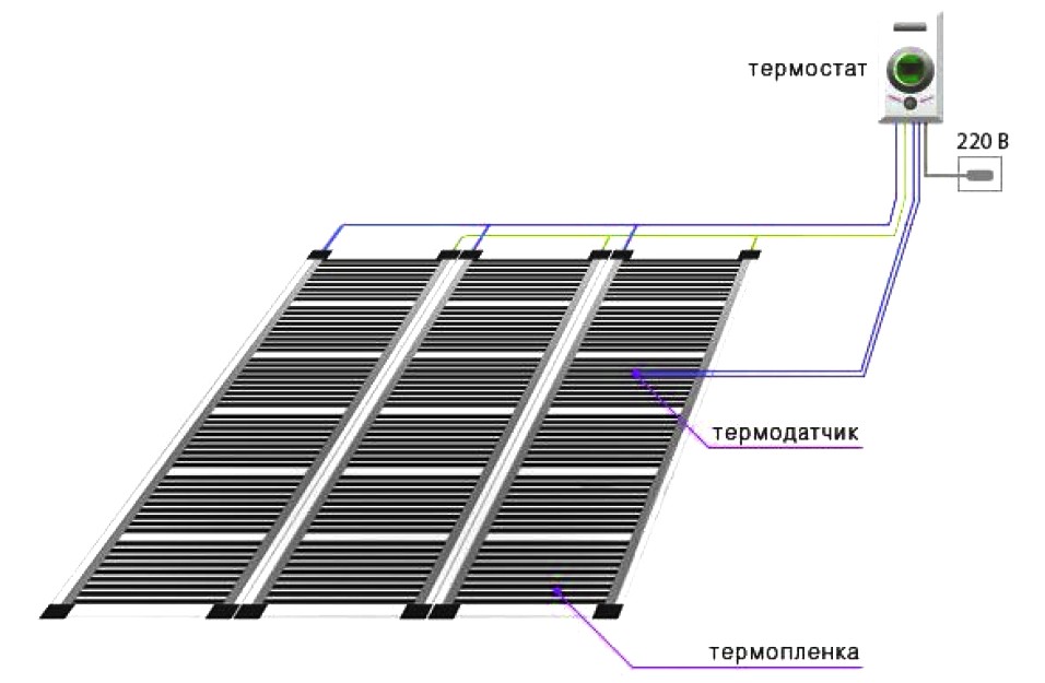 схема укладки пленочного теплого пола