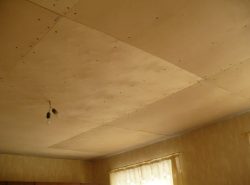 Потолок из фанеры не только красиво смотрится, но и является безопасным и экологичным