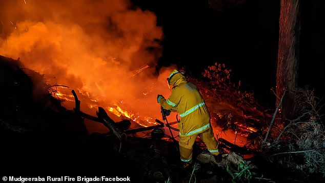 Bushfire season started early with a blaze breaking out in the Gold Coast hinterland (pictured)
