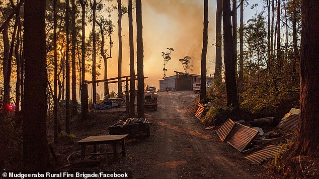 Fire warnings (Springbrook fire pictured) have been issued in WA and NT