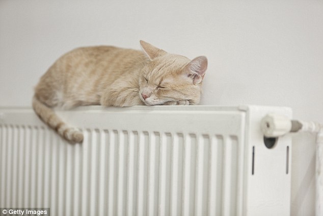 The Centre for Sustainable Energy advises that programming your boiler to turn the heating on earlier – such as 30 minutes before you get up in the morning – but at a lower temperature is cheaper than turning it on just as you need it at a higher temperature (stock image)