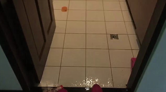 His new pup, a black mongrel, had been kept on his balcony while he was out at work, and the pooch somehow managed to turn on the tap valve outside