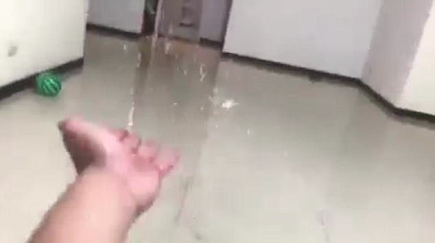 Chang Jiu-tse, the unfortunate homeowner, was incredulous and could not believe his home in Taiwanese capital Taipei could flood while situated so high on the residential tower