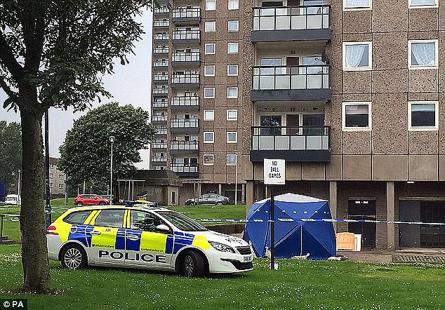 Officers found Hugh Gallacher, 56, standing on the balcony with apparently blood-stained hands when they were called to the tower block at Donside Court, Aberdeen (pictured)