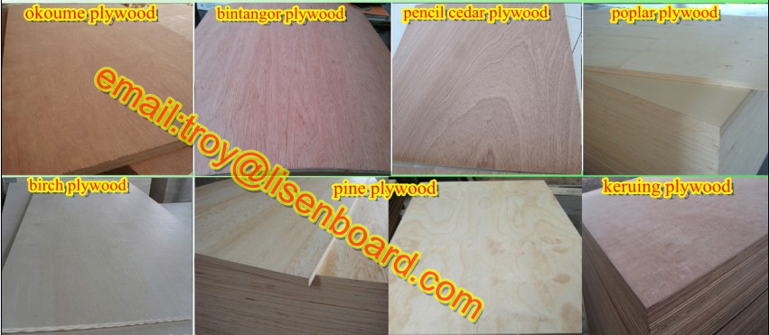 1.5mm plywood sheet,thin plywood,red hardwood plywood