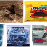 Использование ядохимикатов против грызунов