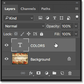 Selecting the Type layer in the Layers panel