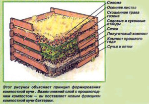 компостная-яма-2-300x210
