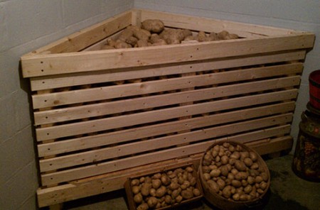 картошка в погребе