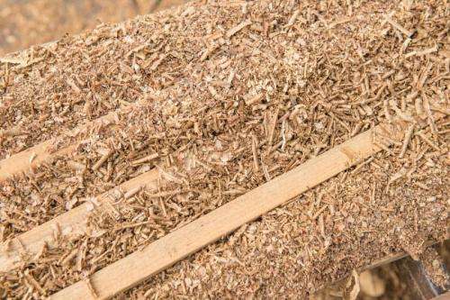 “Essentially, the method allows us to make a ‘petrochemical’ product using biomass – thus bridging the worlds of bio-economics and petro chemistry,” says co-author Dr. Bert Lagrain. Researchers find way to turn sawdust into gasoline