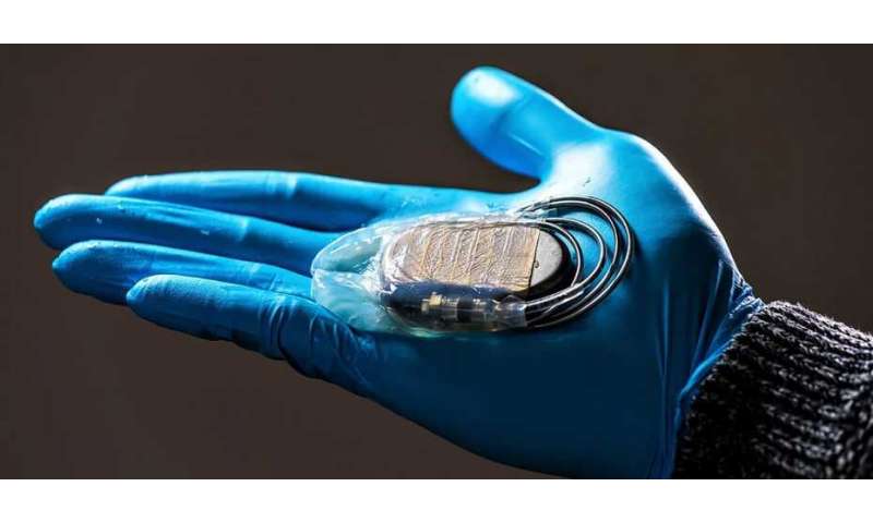 A cellulose membrane for protecting pacemakers. Credit: Hylomorph Protection for pacemakers