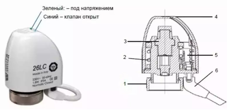 Из чего состоит