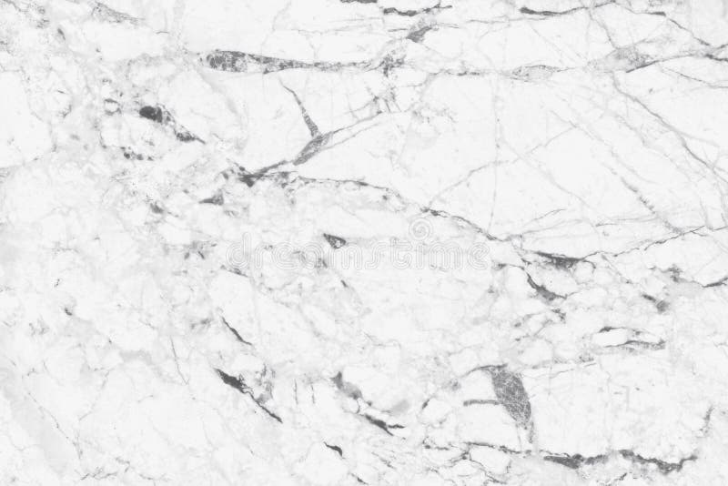 White grey marble texture background in natural pattern with high resolution, tiles luxury stone floor seamless glitter. For interior and exterior royalty free stock photo