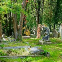 Бурьян на могилке: как навсегда избавиться от травы на кладбище