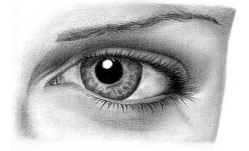 drawing-eye The Best Drawing Tutorials to Learn How To Draw