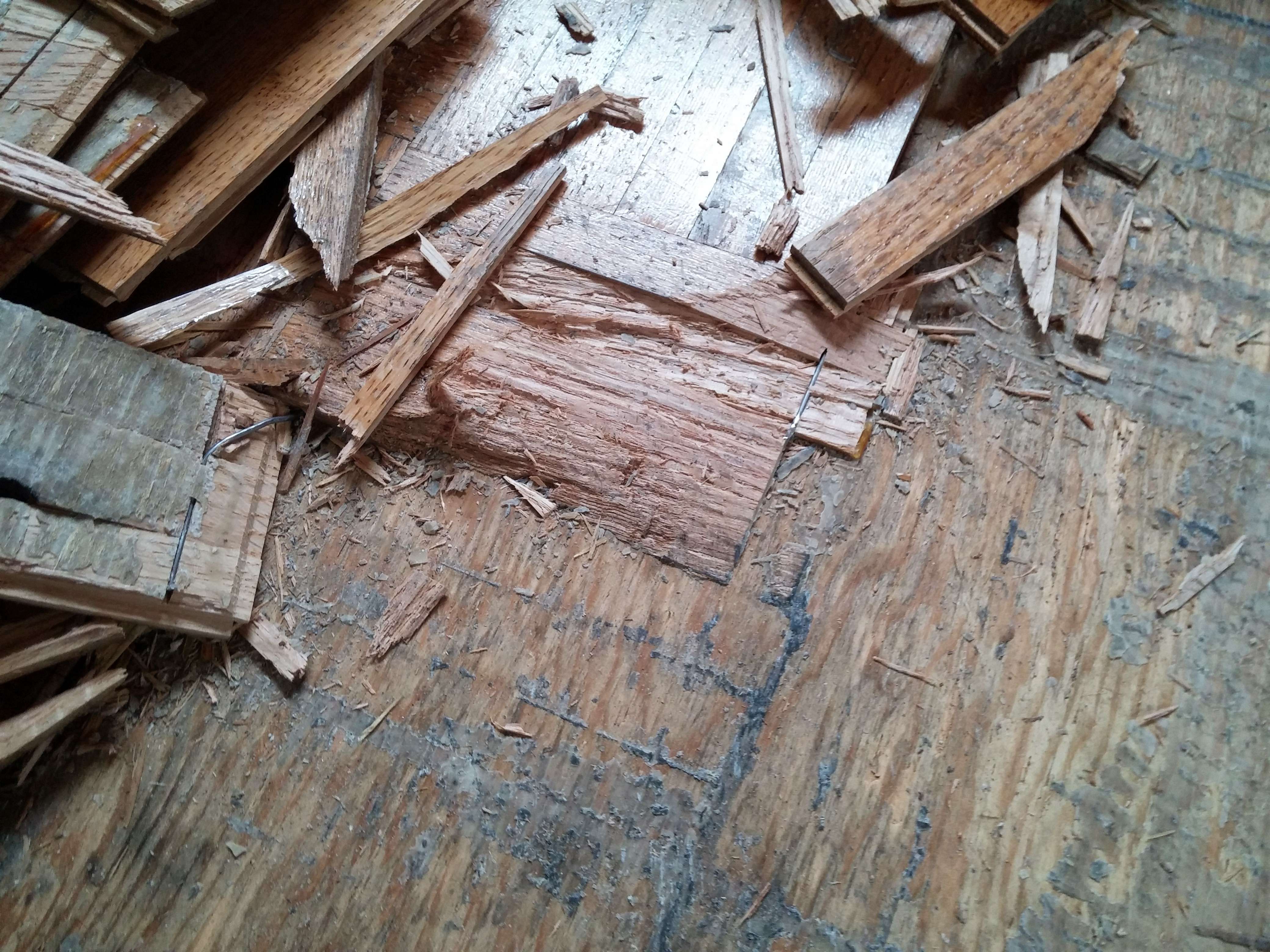 Parquet Flooring Not Quite Removed Forming a 