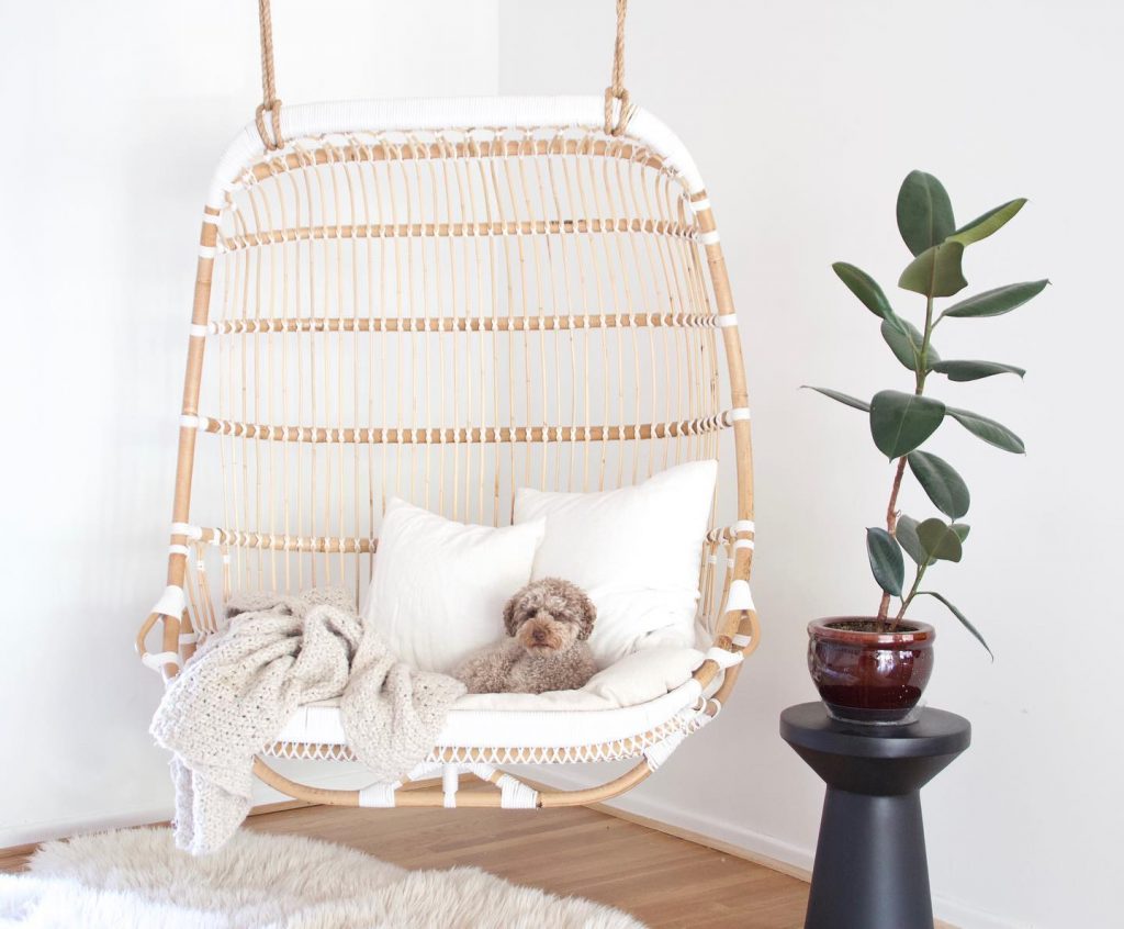 indoor-double-basket-chair-with-thick-cushion-and-adog-sitting-on