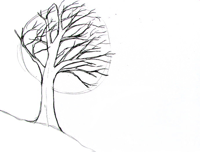 How To Draw A Tree Tutorial
