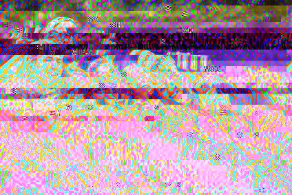 Damaged picture header