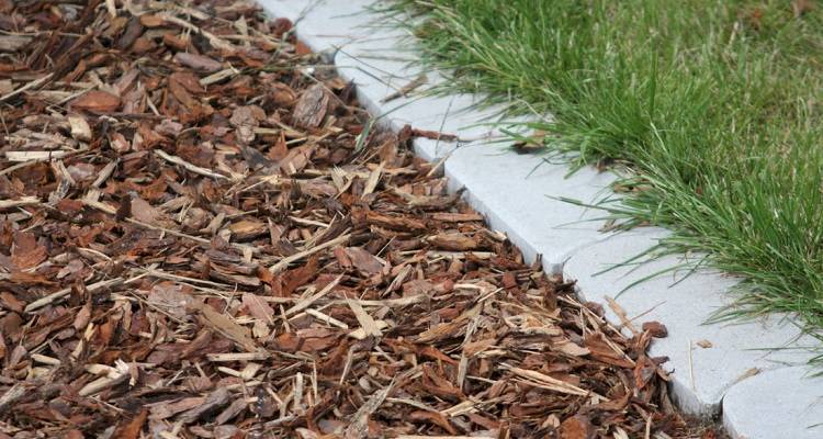 bark mulch patio