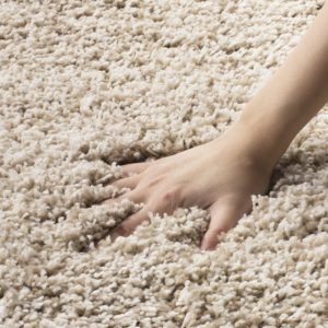 High pile vs low pile carpet pros and cons - Pet My Carpet.