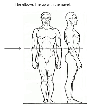 Proportions in figure drawing Proportions in figure drawing