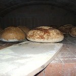 Bread batches baking and reloading them.