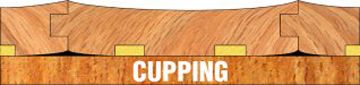 Cupping is caused by moisture content