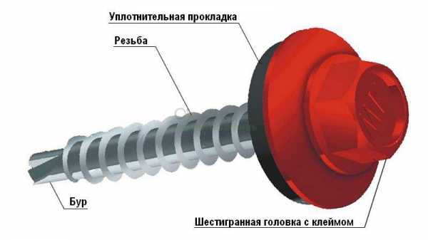 Крепление профнастила к обрешетке саморезами схема